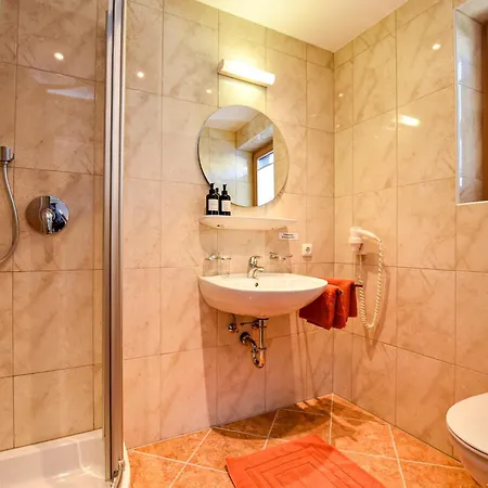 Hotel Hotel-garni Austria 3*