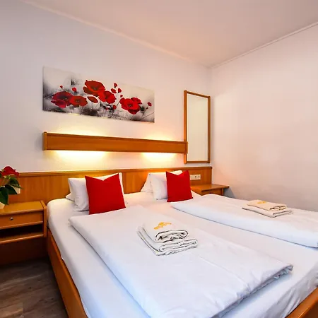 Hotel-garni Austria Otel 3*